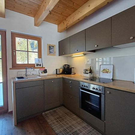 Tauerndorf Enzingerboden Ski In&Out - Steinbock Lodges 외부 사진